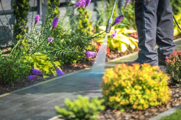 Trusted Manning, IA Pressure Washing Services Experts